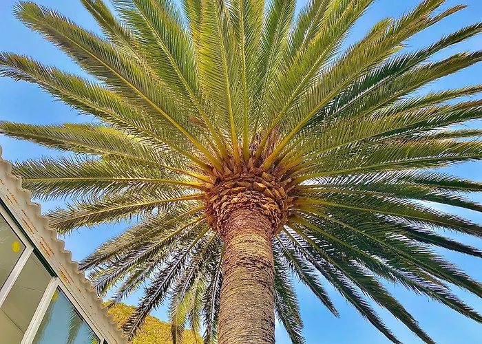 Sweet カントリーハウス